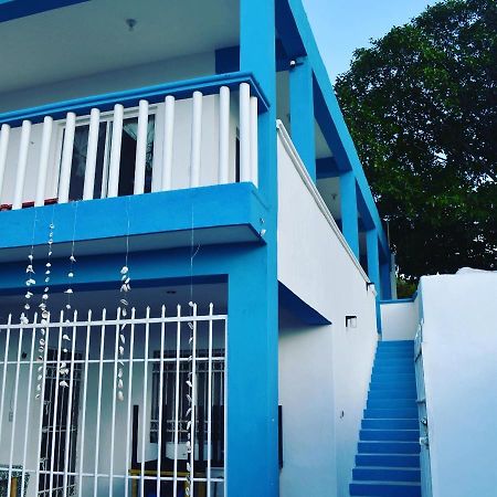 Posada Maria Isabel Celestun Kültér fotó